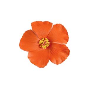 image:imageFloerns Womens Hawaiian Flower Hair Clip Artificial Hibiscus Summer Accessories Orange OneSizeOrange