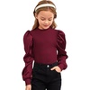 image:imageFloerns Girls Casual Puff Long Sleeve Round Neck Rib Knit Blouse Tee TopsMaroon